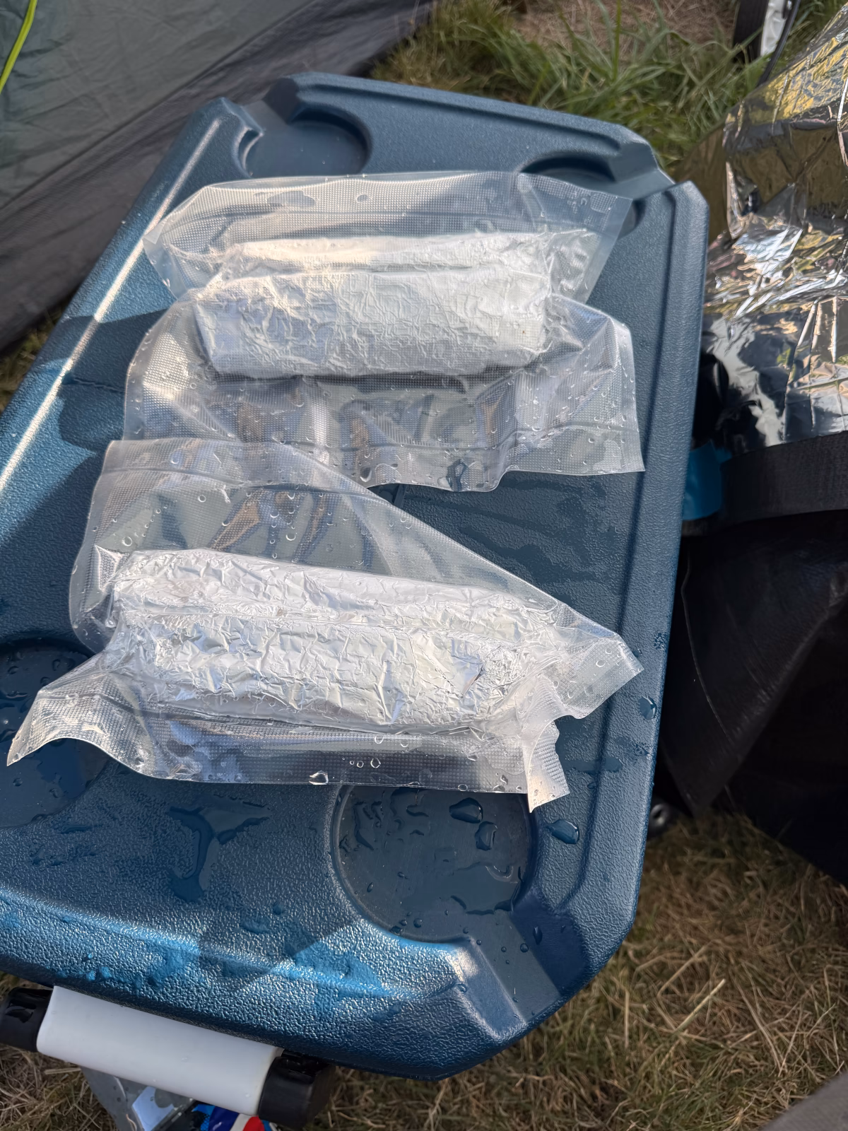 Sealed up Burritos